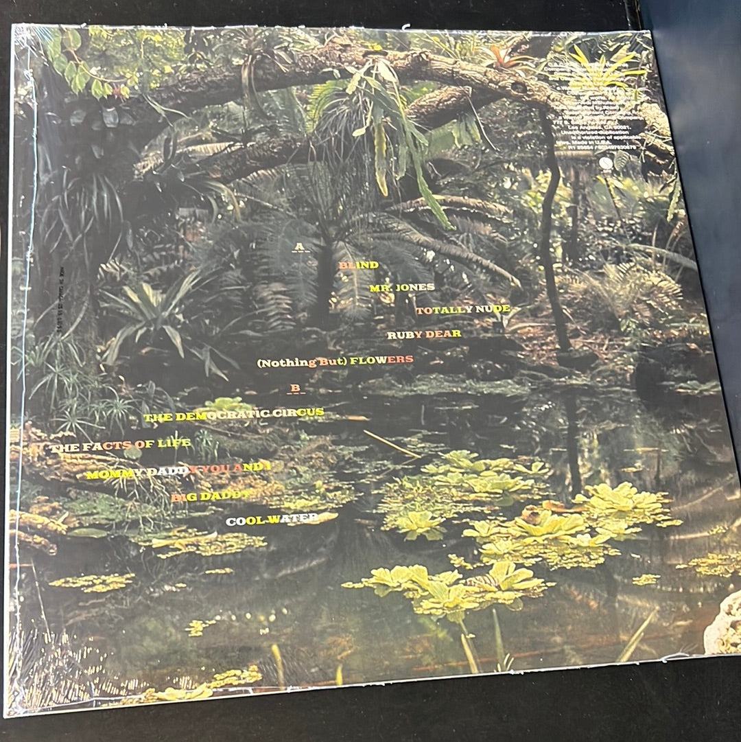 TALKING HEADS - naked