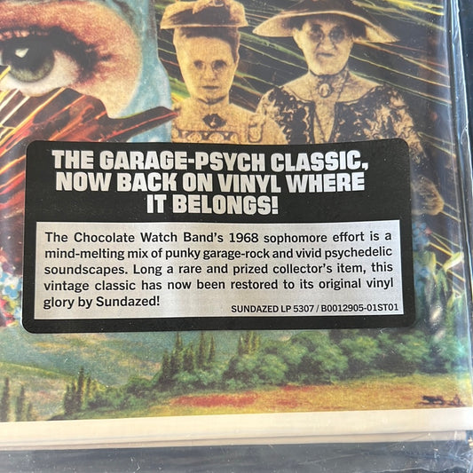 CHOCOLATE WATCH BAND - the inner mystique