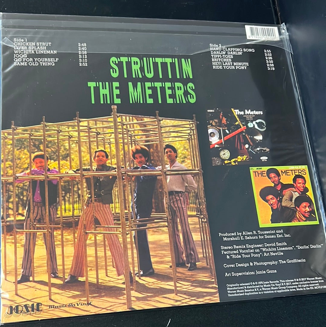 THE METERS - struttin