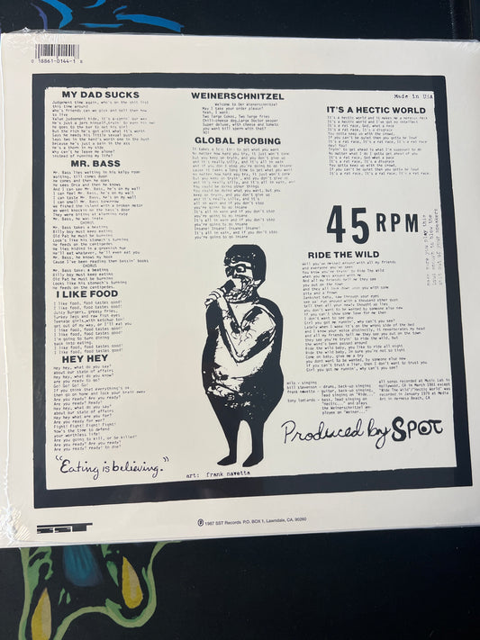 THE DESCENDENTS - bonus fat
