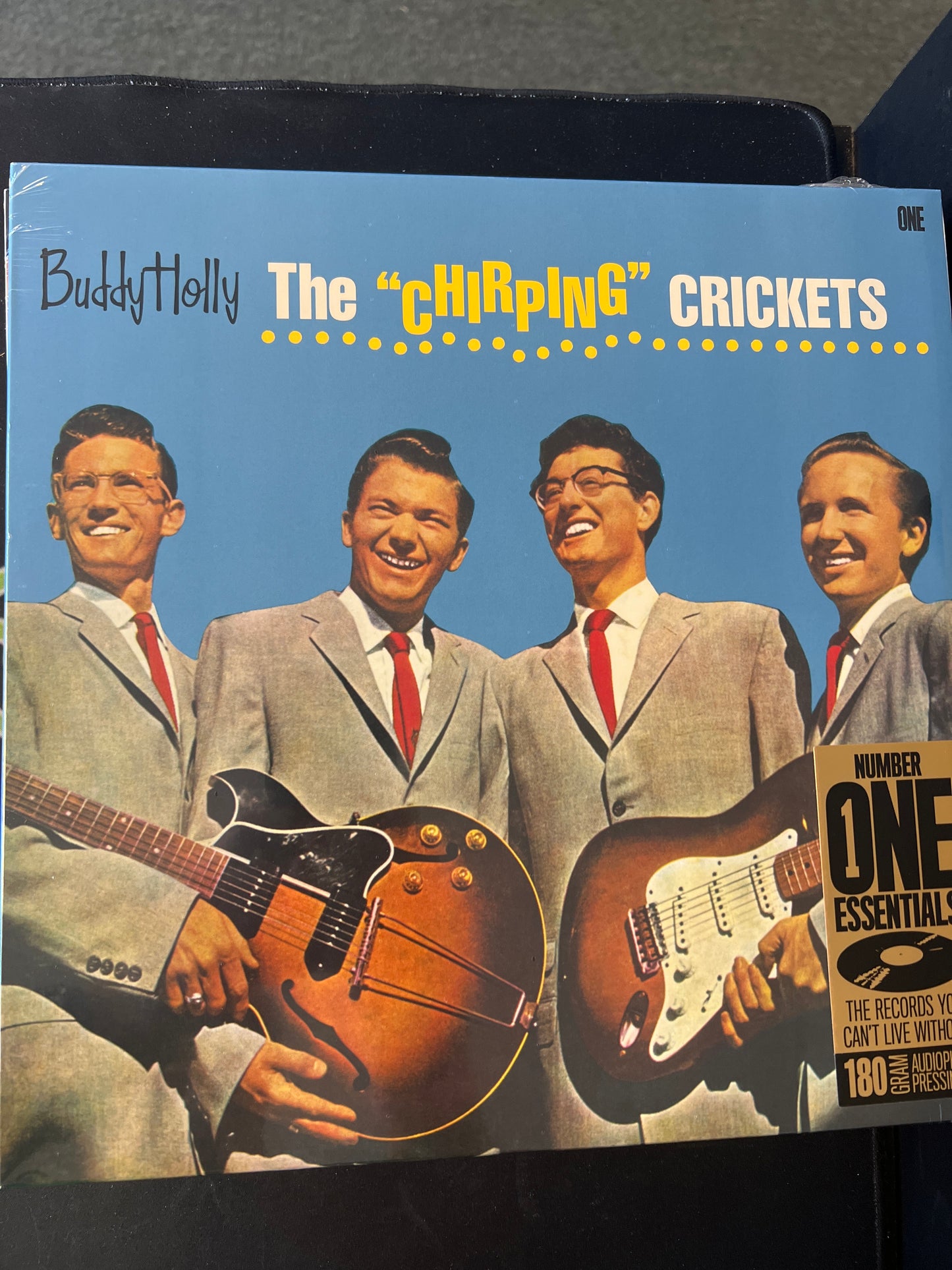 THE CRICKETS - the chirping crickets