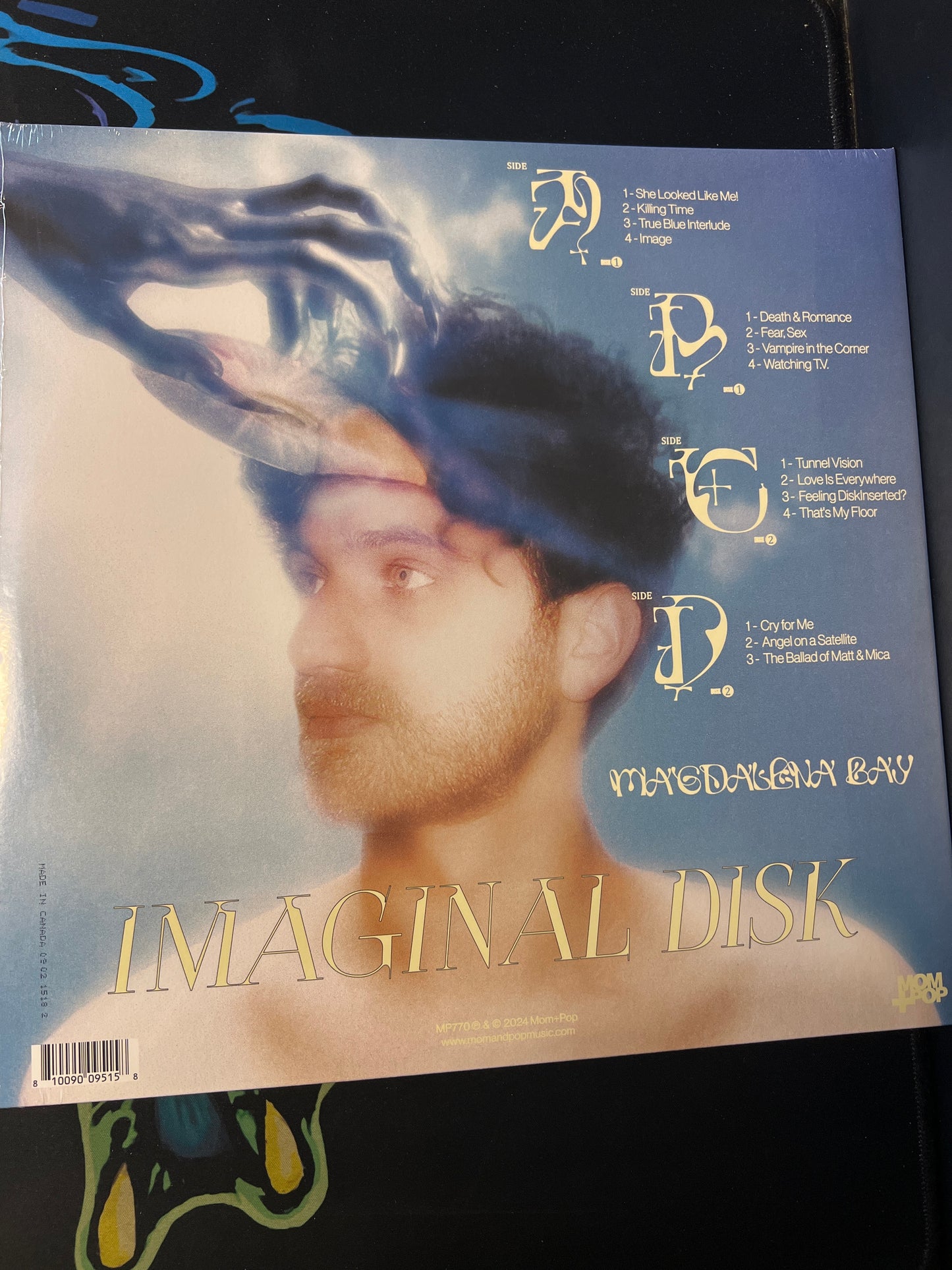 MAGDELANA BAY - imaginal disk