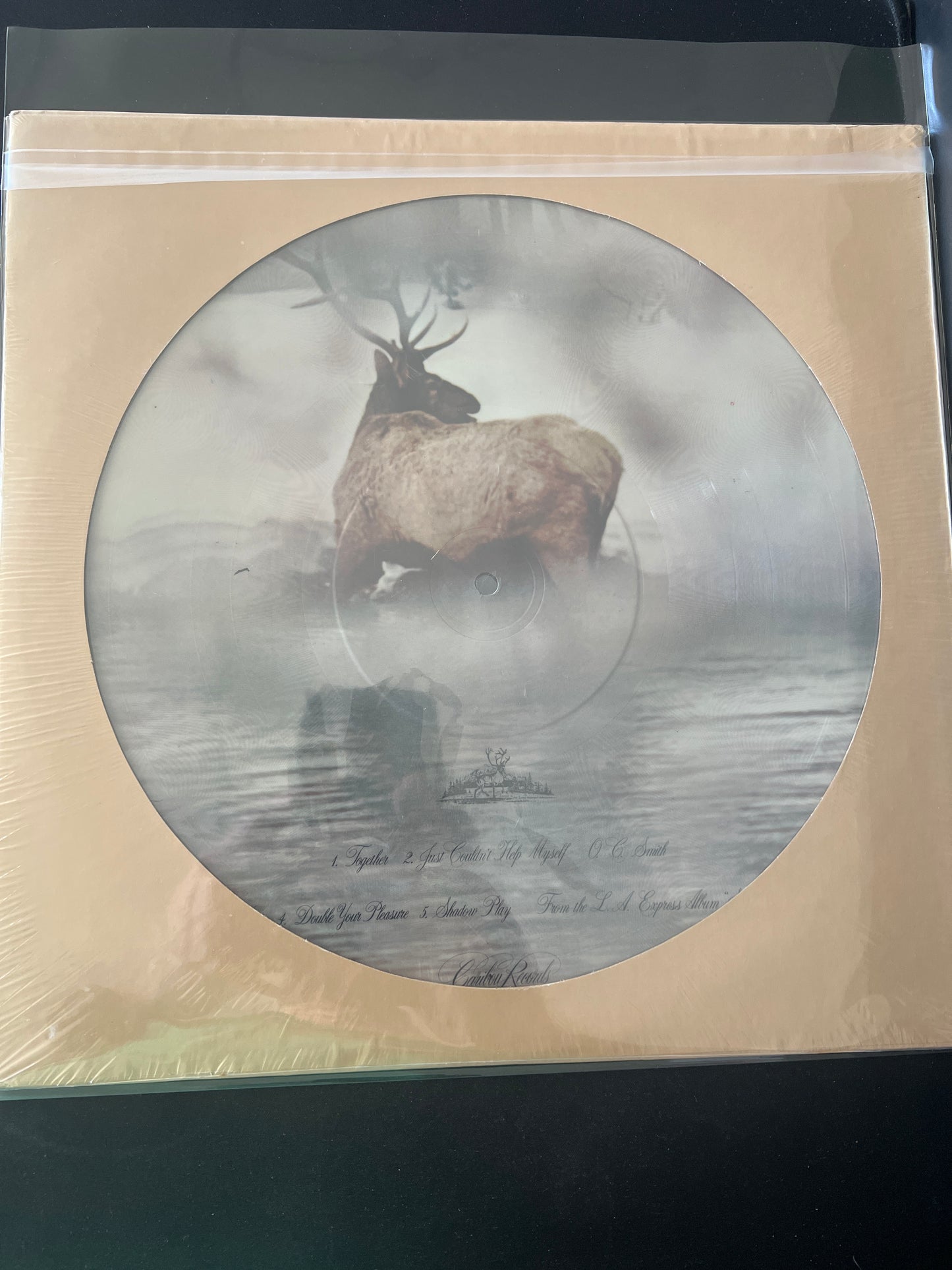 CARIBOU RECORDS - fall release, various artists