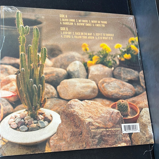 KACEY MUSGRAVES - same trailer different park