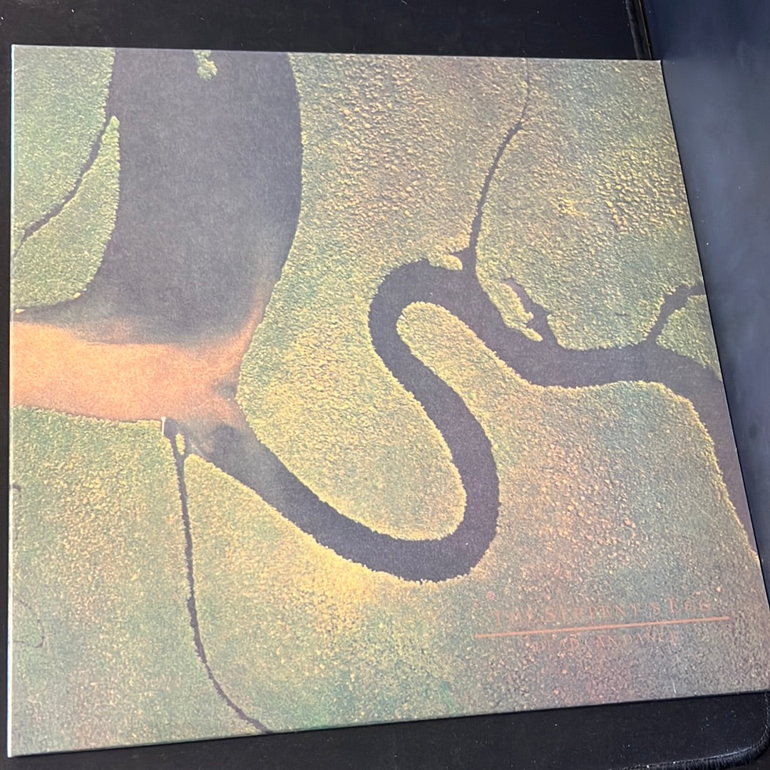 DEAD CAN DANCE - the serpent’s egg