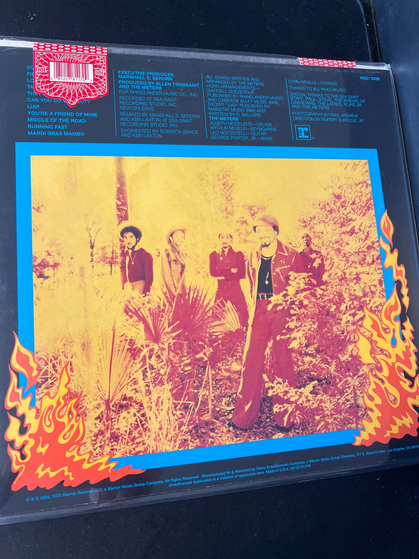 THE METERS - Fire on the bayou
