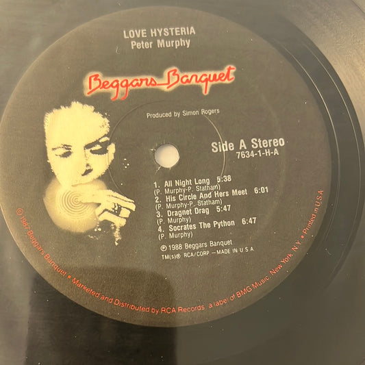 PETER MURPHY - love hysteria