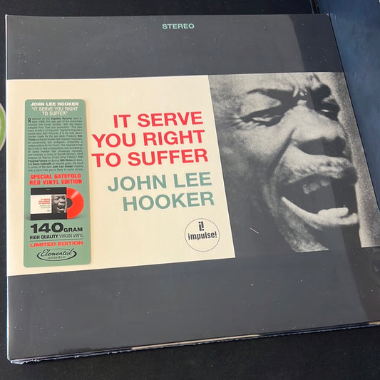 JOHN LEE HOOKER - it serve you right to suffer