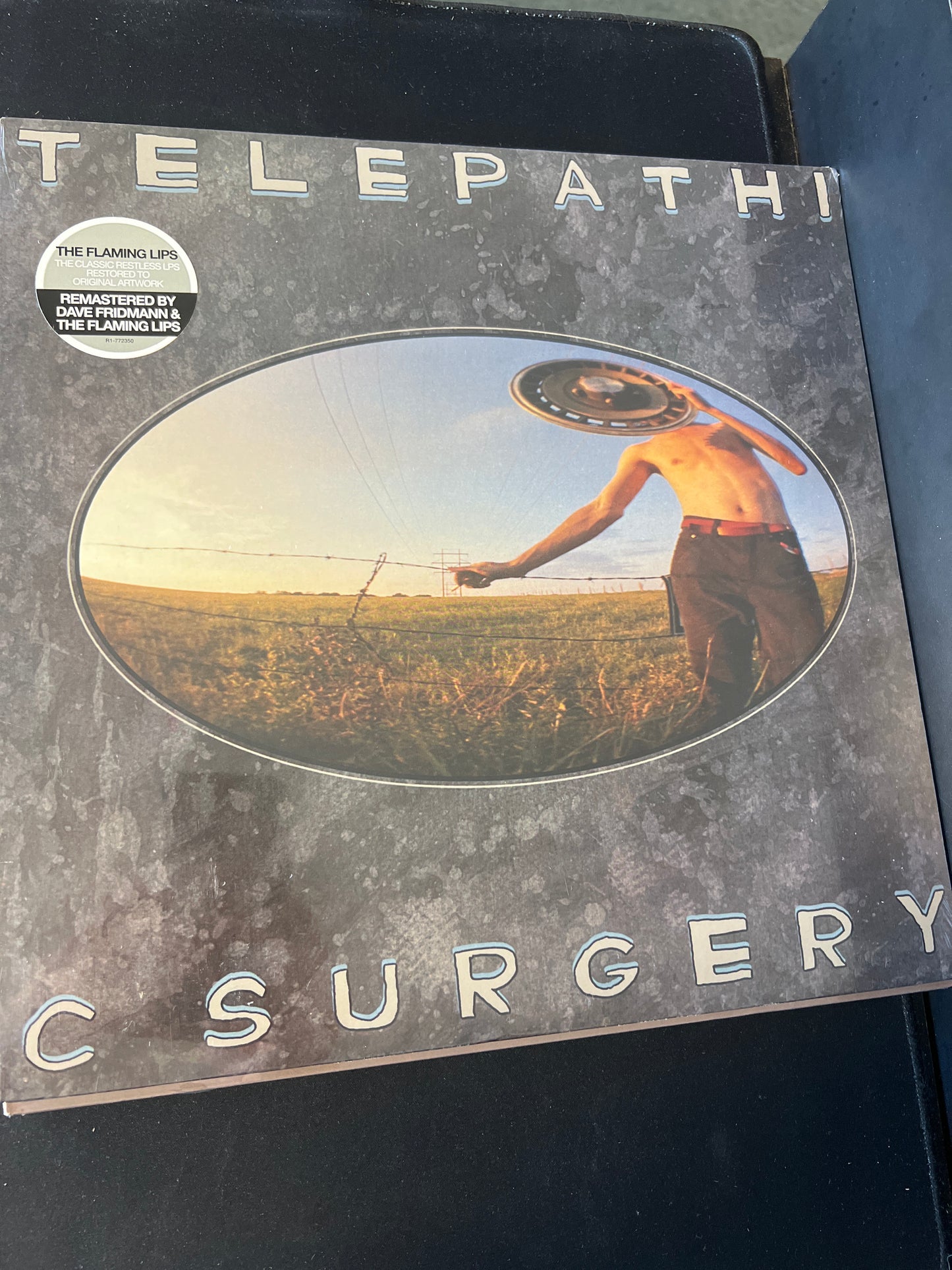 THE FLAMING LIPS - telepathic surgery