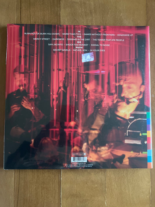 PETER GABRIEL - in the big room