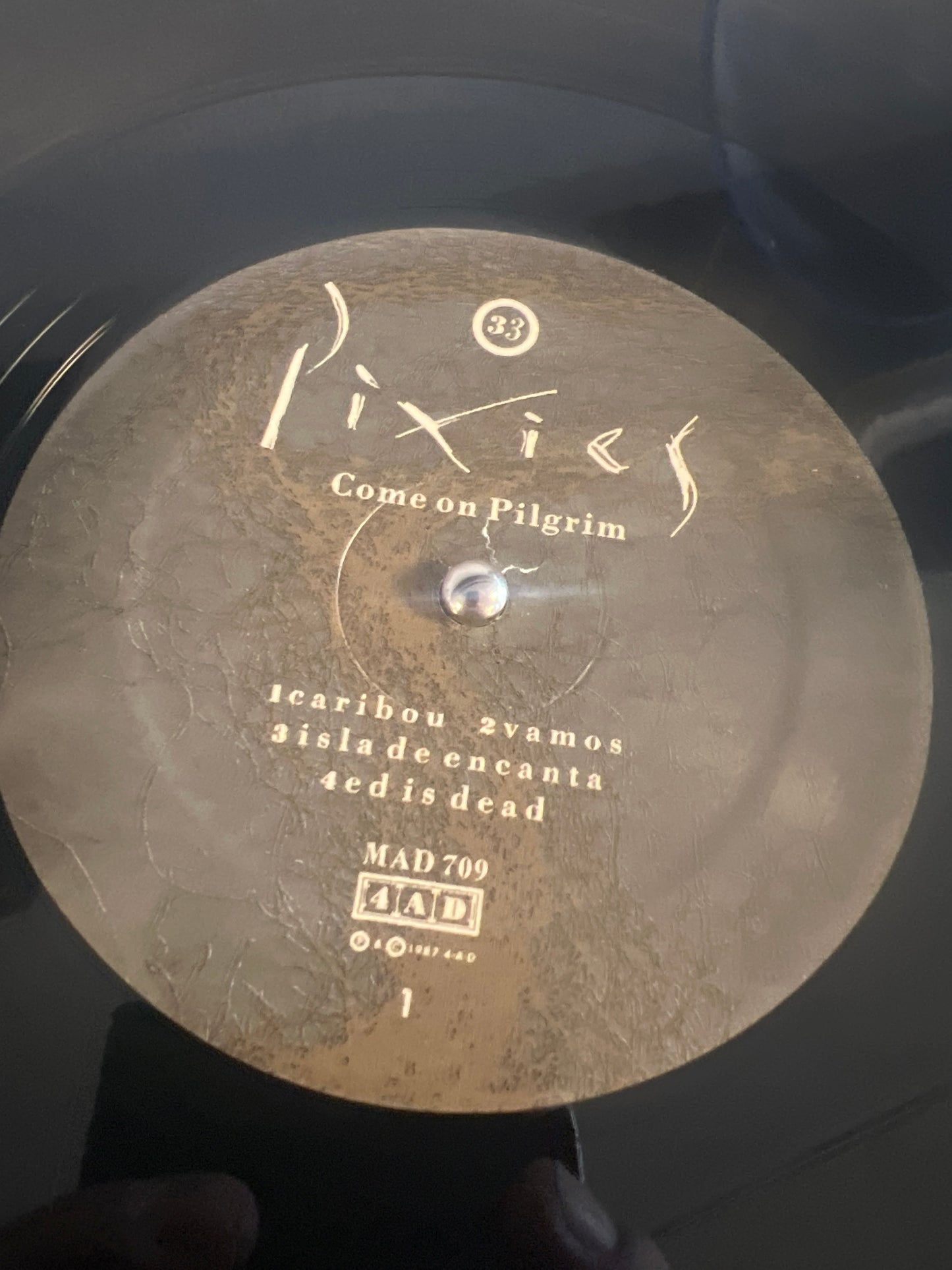 PIXIES - come on pilgrim