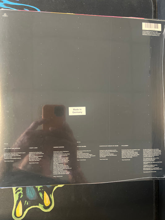 PET SHOP BOYS - introspective