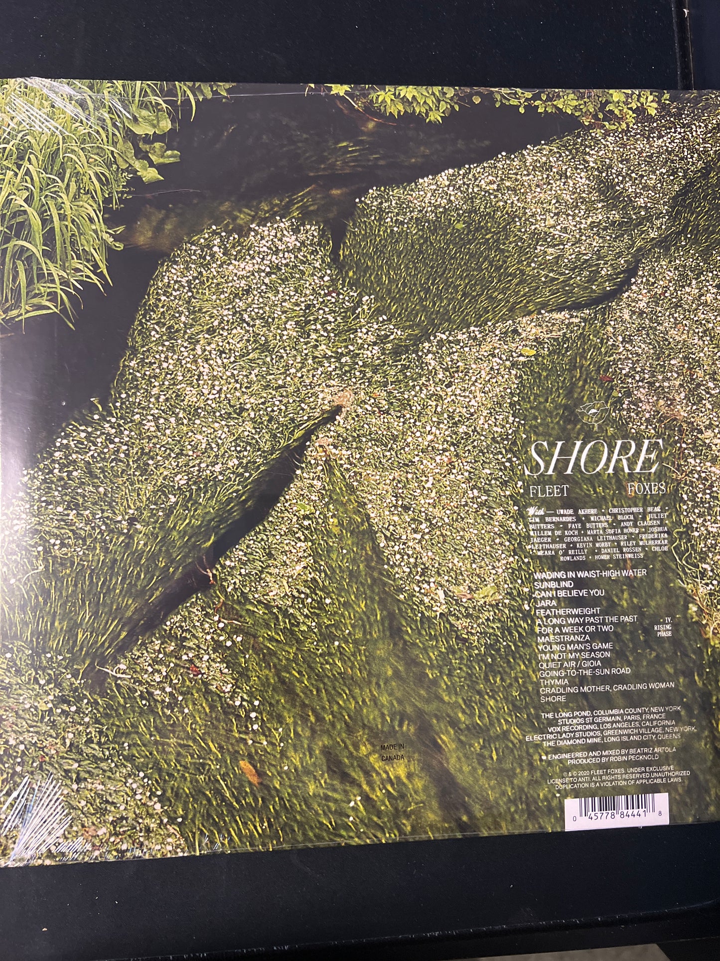 FLEET FOXES - shore