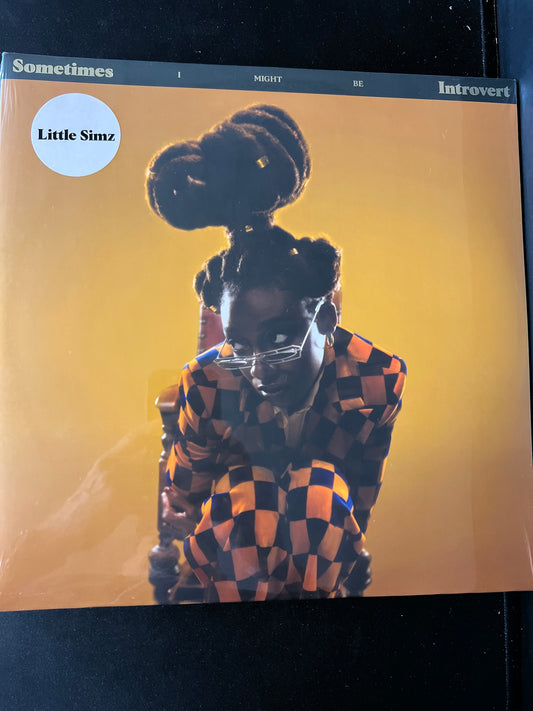 LITTLE SIMZ - sometimes I might be introvert