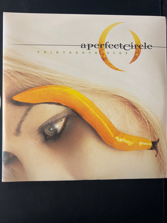 A PERFECT CIRCLE - thirteenth step