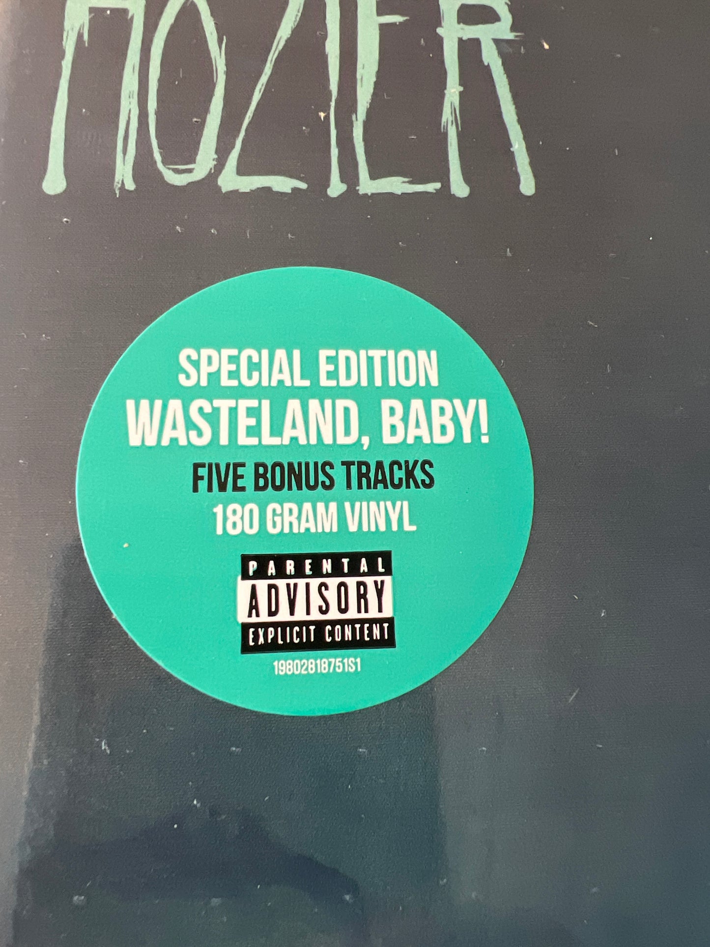 HOZIER - wasteland, baby!