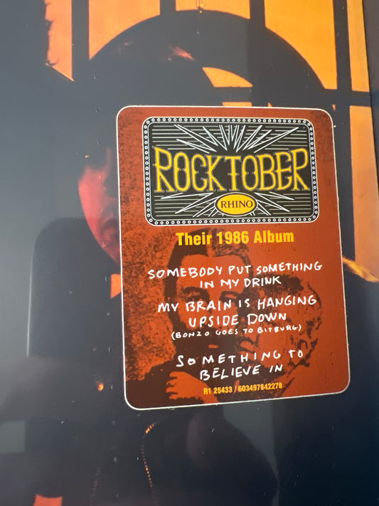 RAMONES - animal boy