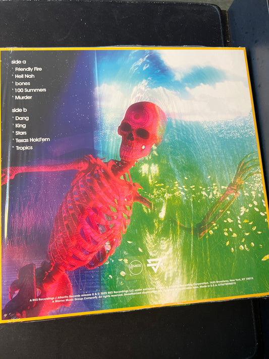 RAINBOW KITTEN SURPRISE - bones