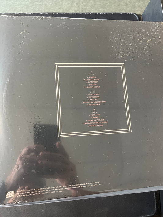 HAYLEY WILLIAMS - petals for armor