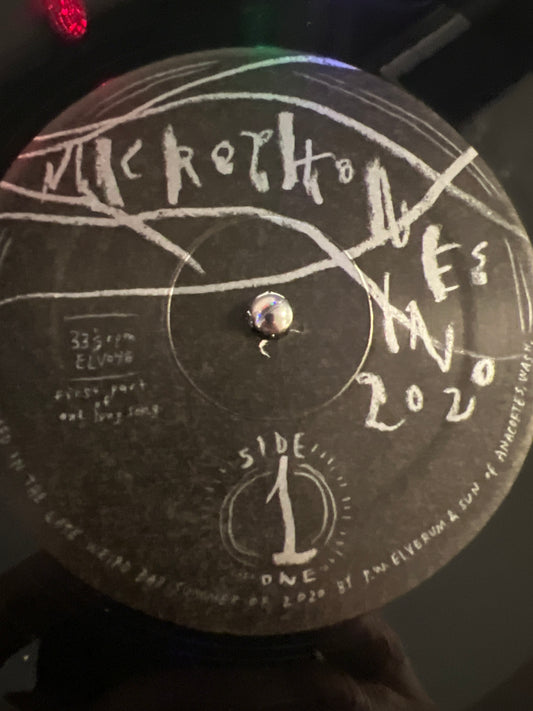 THE MICROPHONES - Microphones in 2020