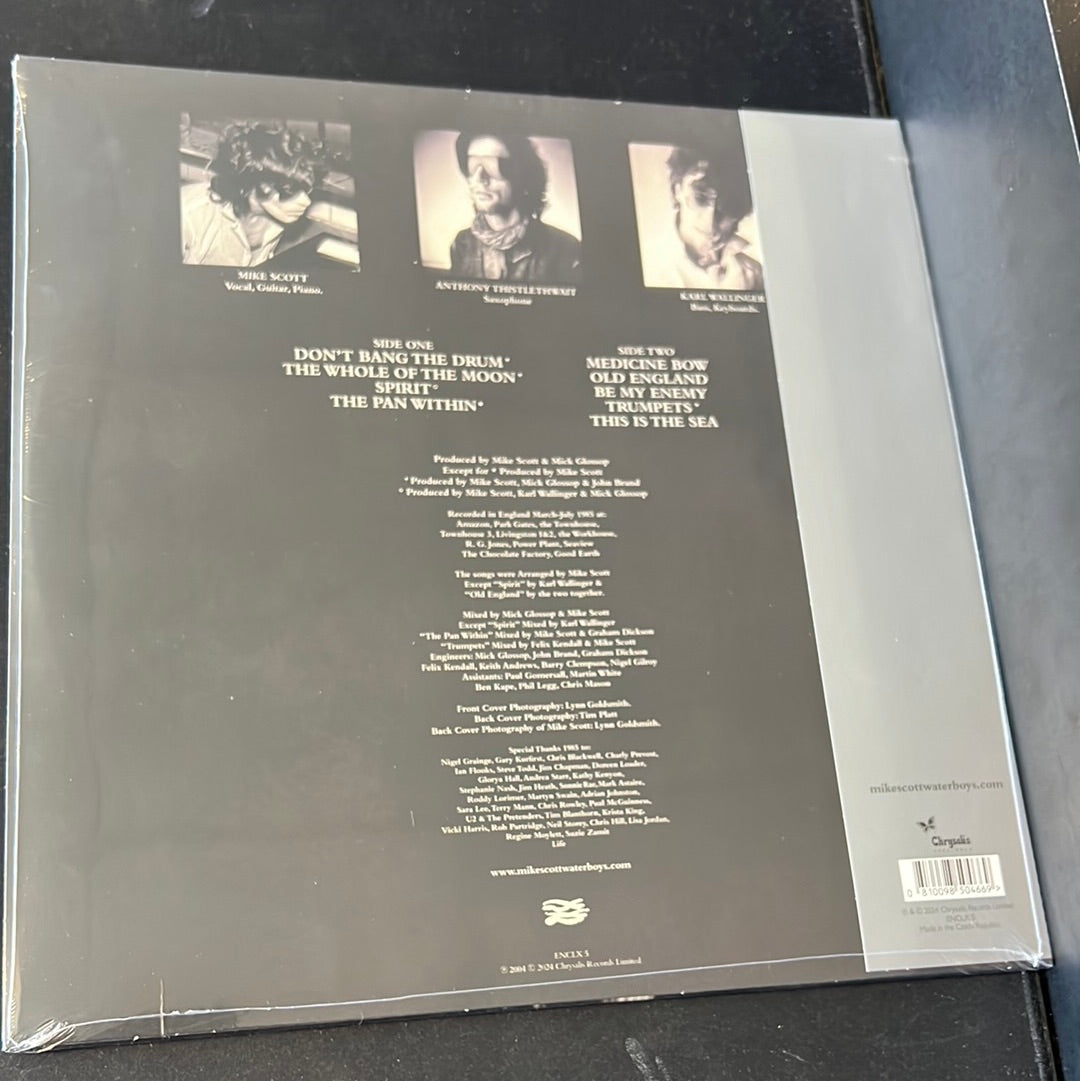 THE WATERBOYS - this is the sea