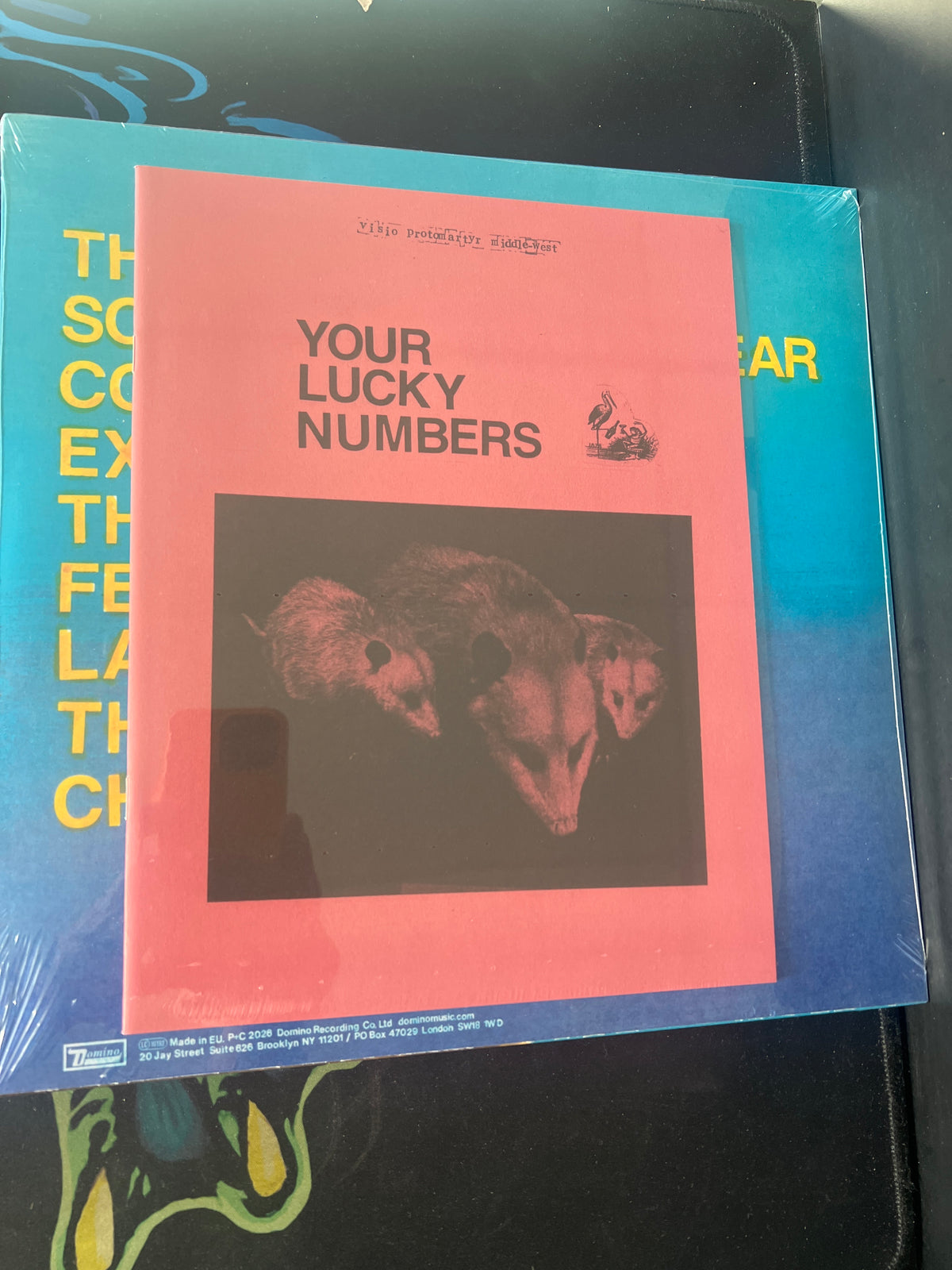 PROTOMARTYR - hotel usona