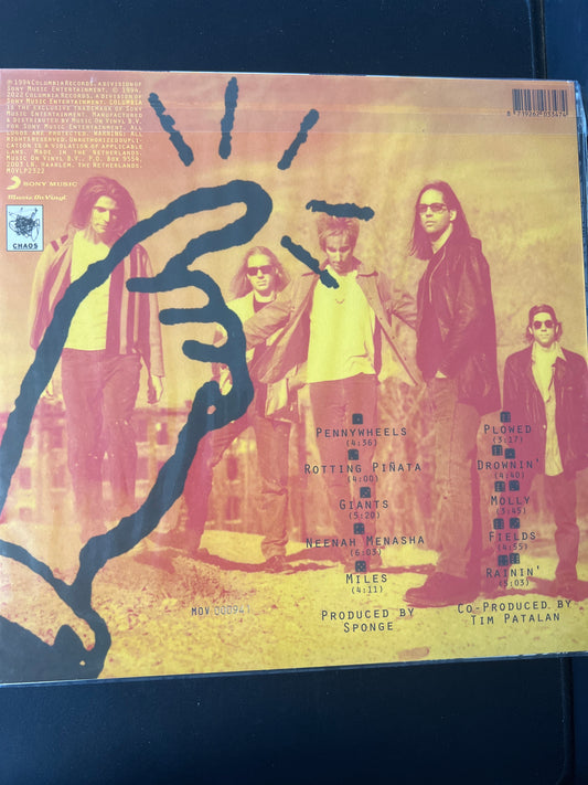 SPONGE - rotting piñata