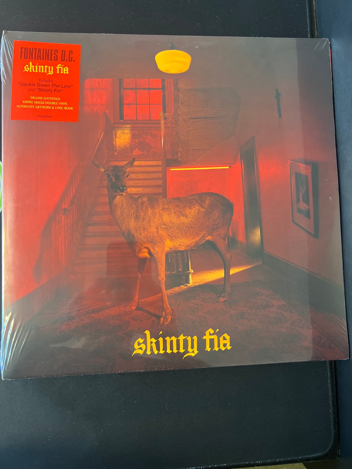 FONTAINS D.C. - skinty fia