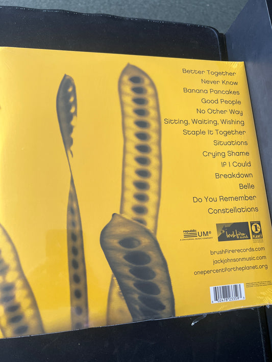 JACK JOHNSON - in between dreams