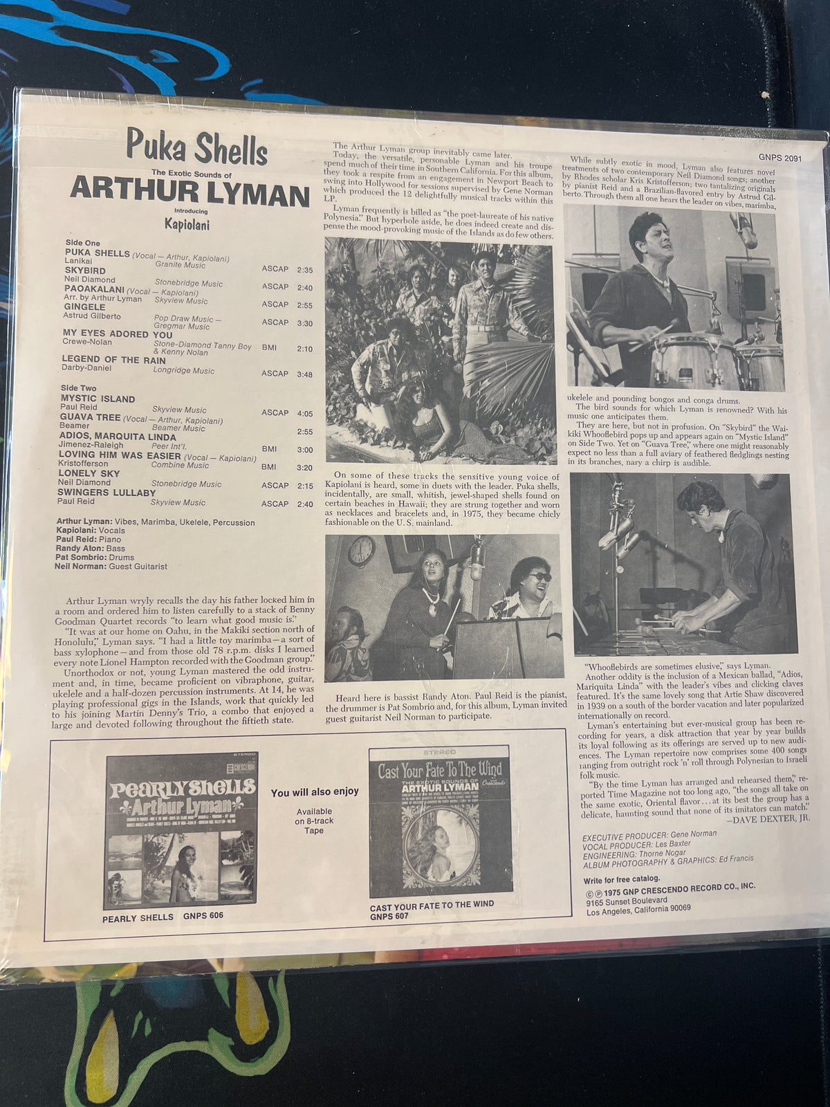 ARTHUR LYMAN - Puka Shells