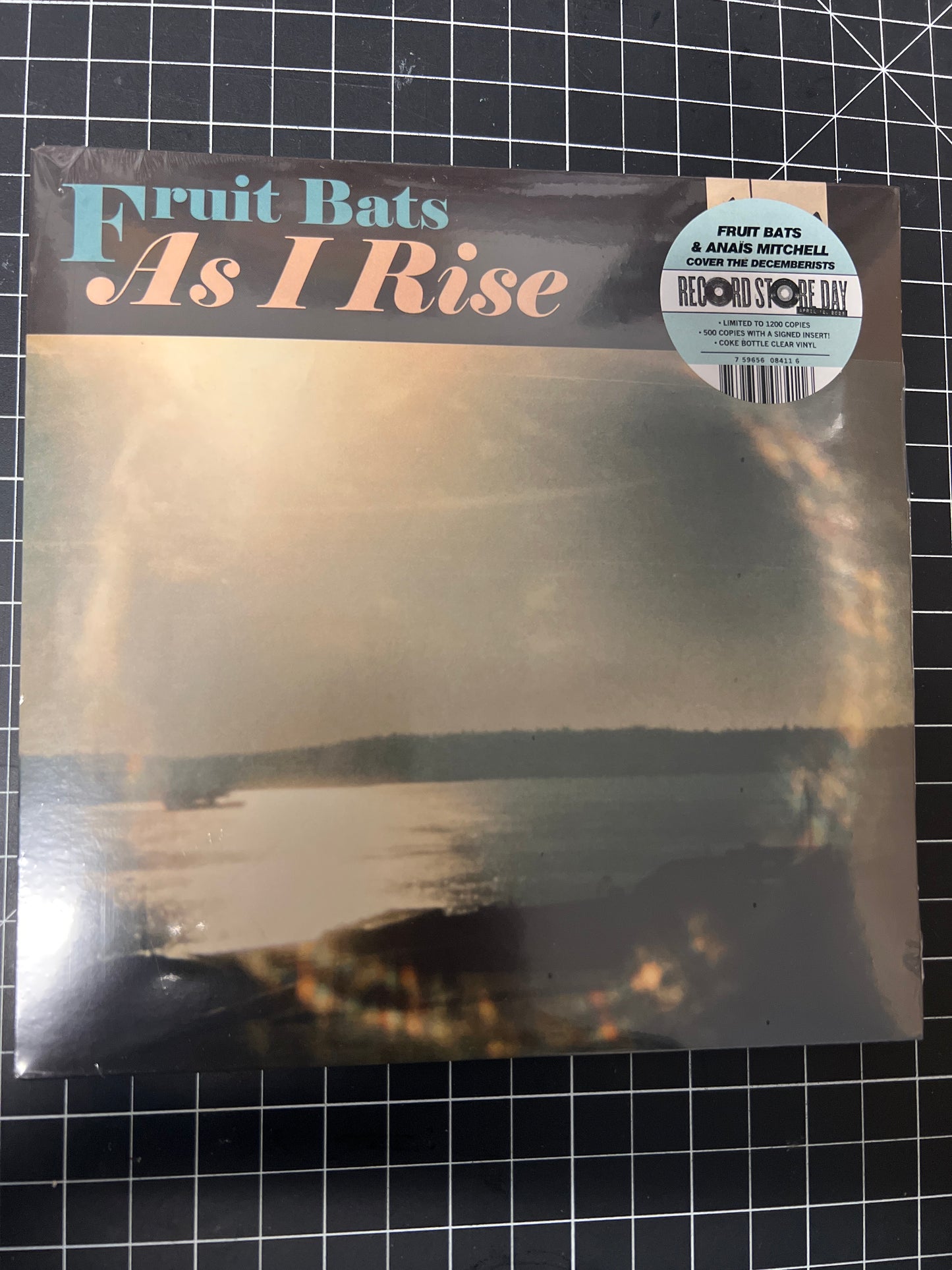 FRUIT BATS - as I rise