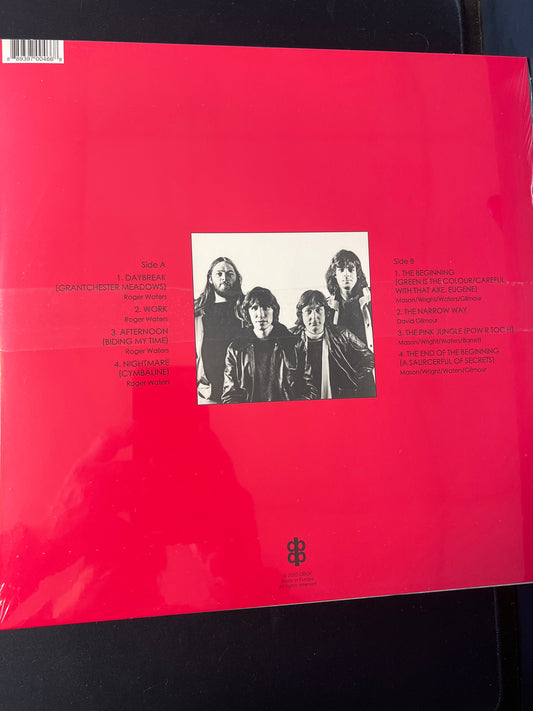 PINK FLOYD - live at Amsterdam, Netherlands 1969