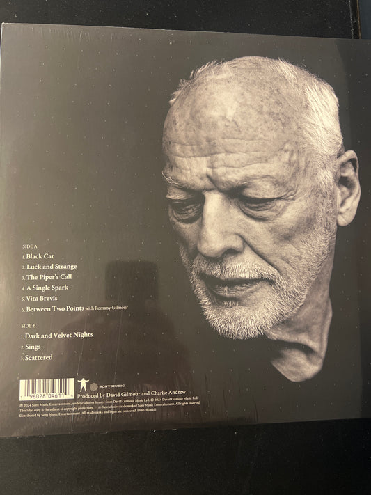 DAVID GILMOUR - luck and strange