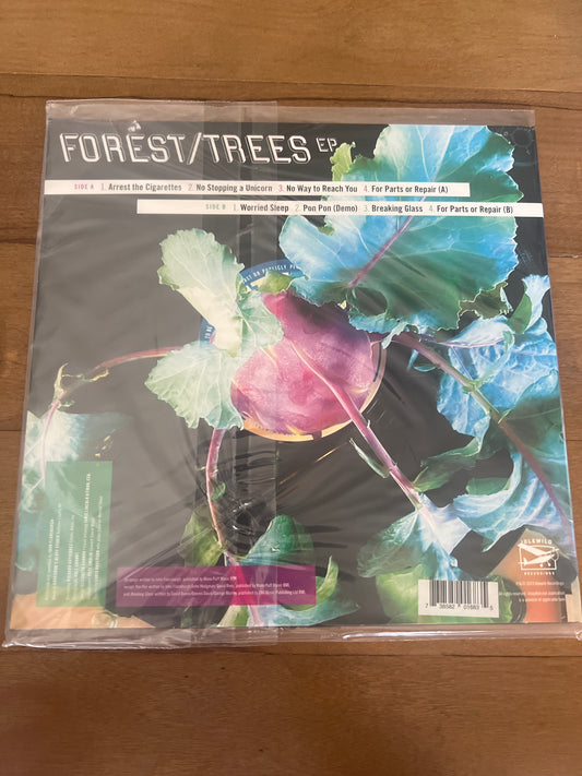 JOHN FLANSBURGH of THEY MIGHT BE GIANTS - forest/trees EP