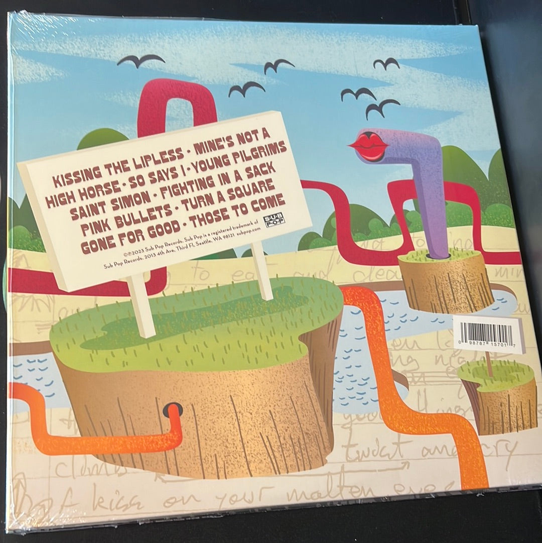THE SHINS - chutes too narrow