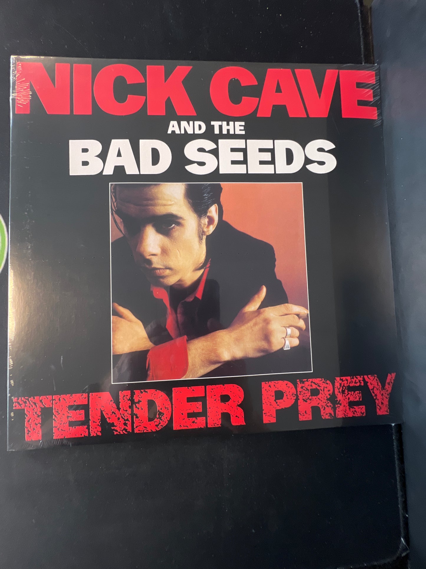 NICK CAVE AND THE BAD SEEDS - tender prey