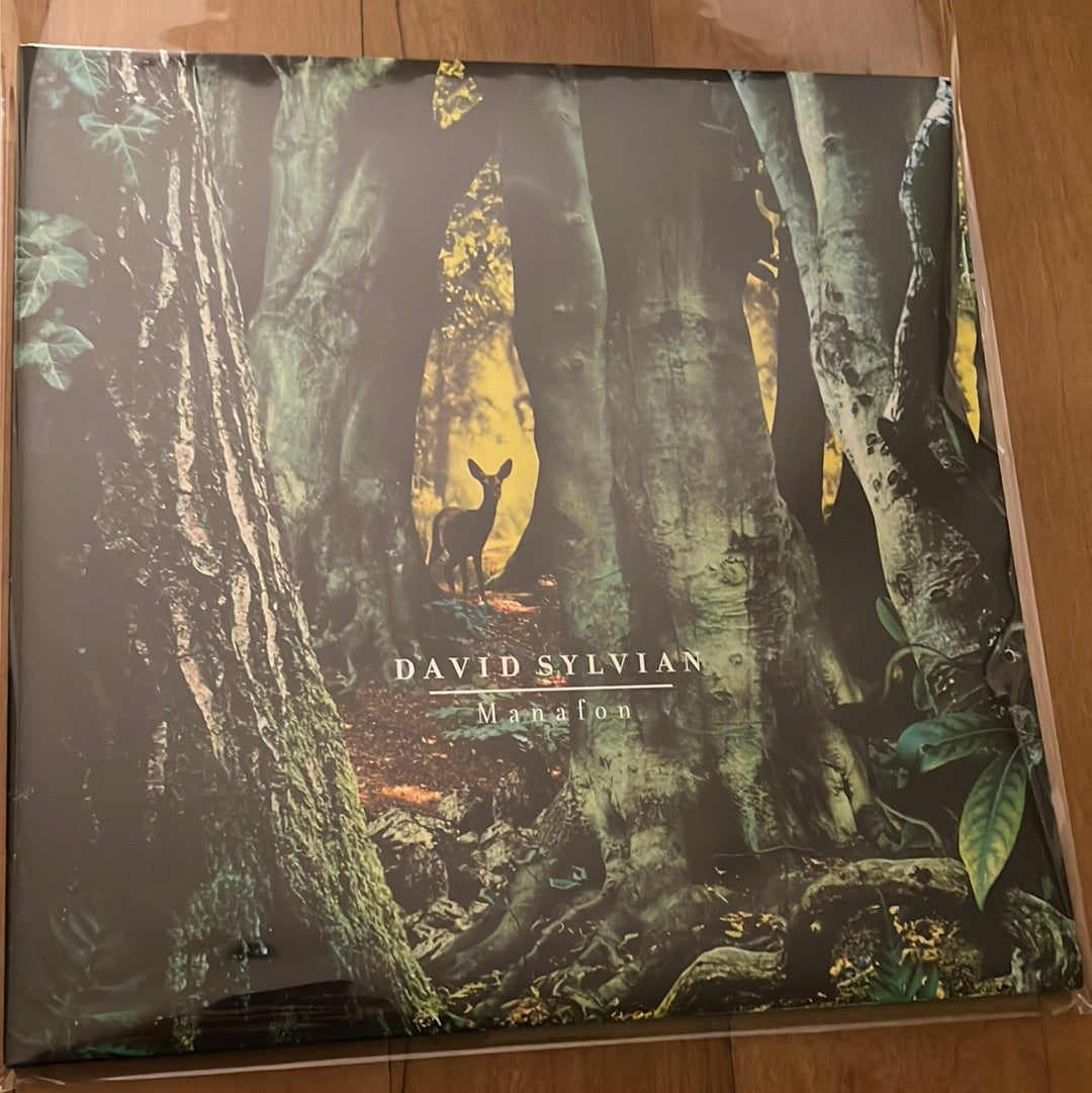 DAVID SYLVIAN - manafon