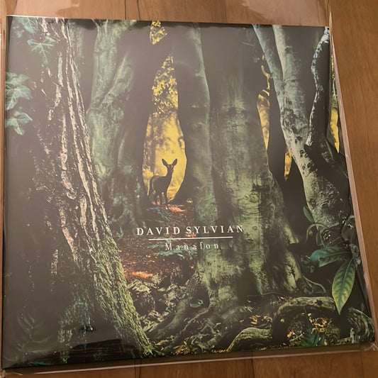 DAVID SYLVIAN - manafon