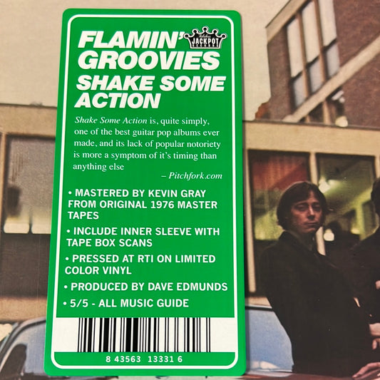 FLAMIN GROOVIES - shake some action