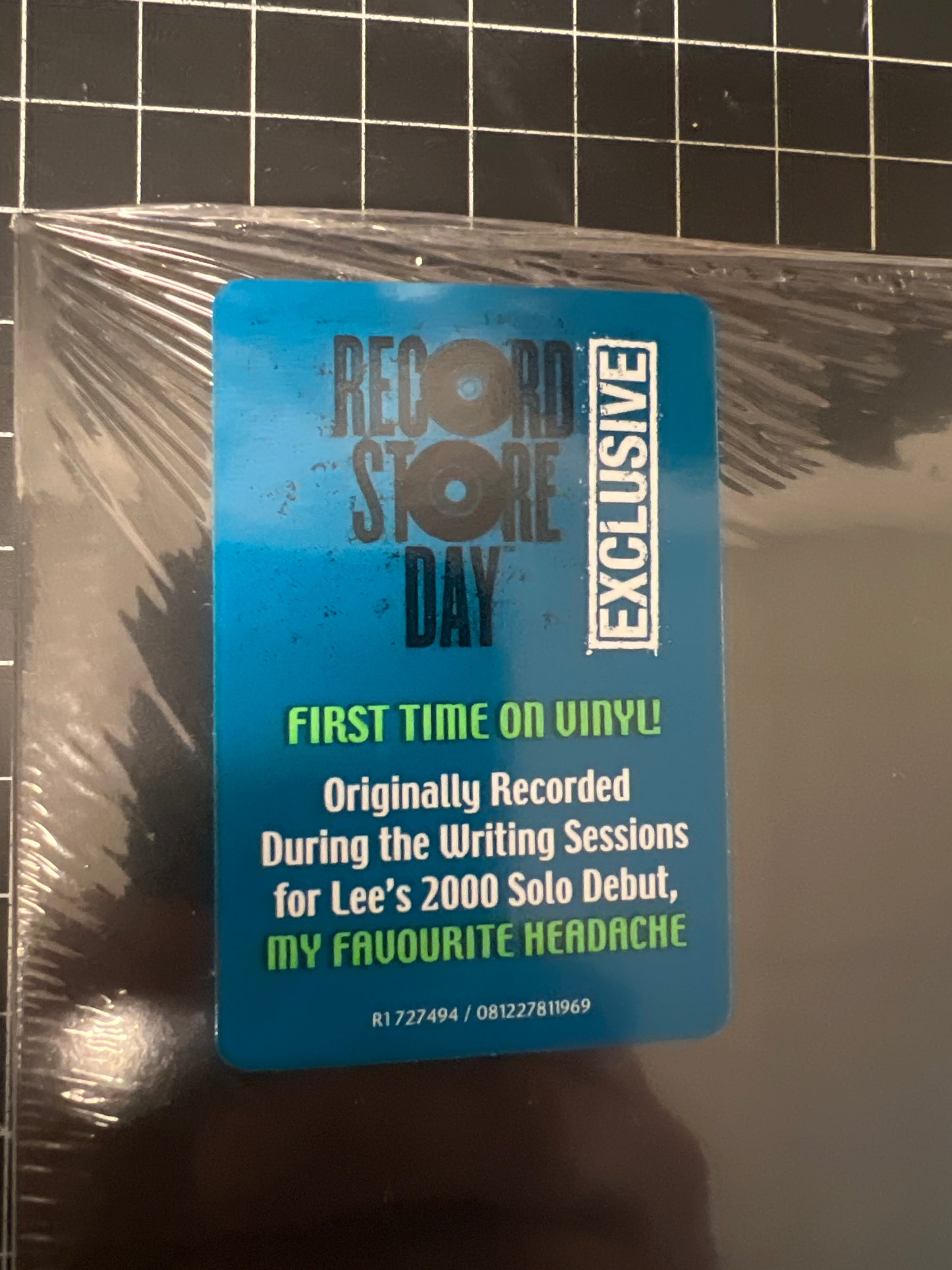 GEDDY LEE - the lost demos