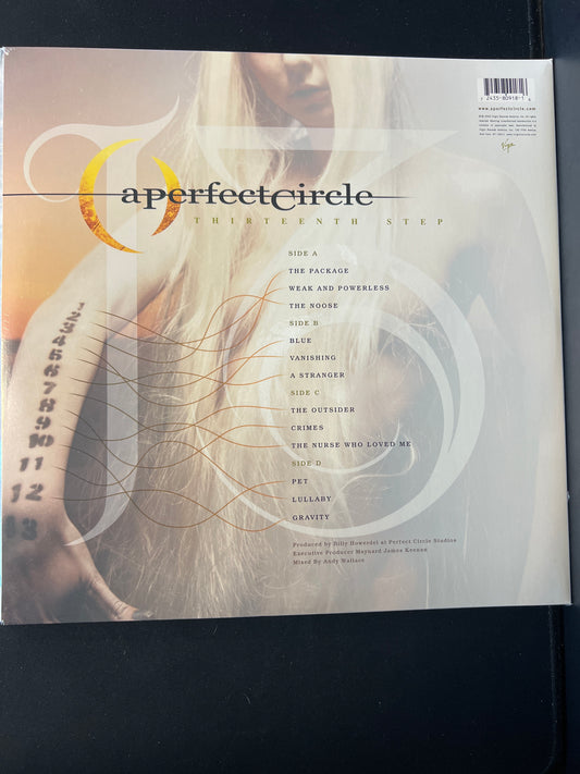 A PERFECT CIRCLE - thirteenth step