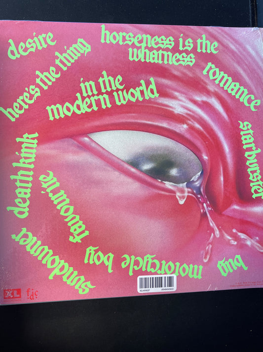 FONTAINES D.C. - romance