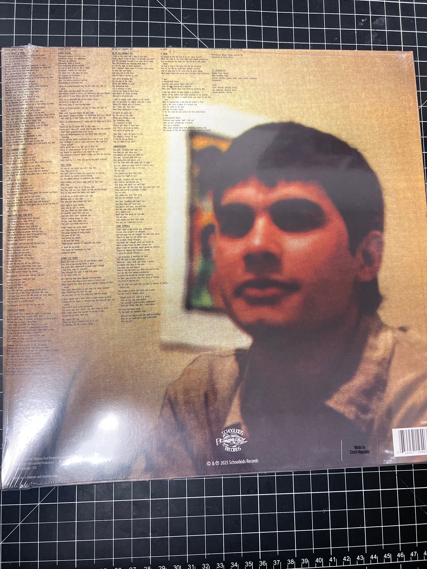 VERLAINS - some disenchanted evening