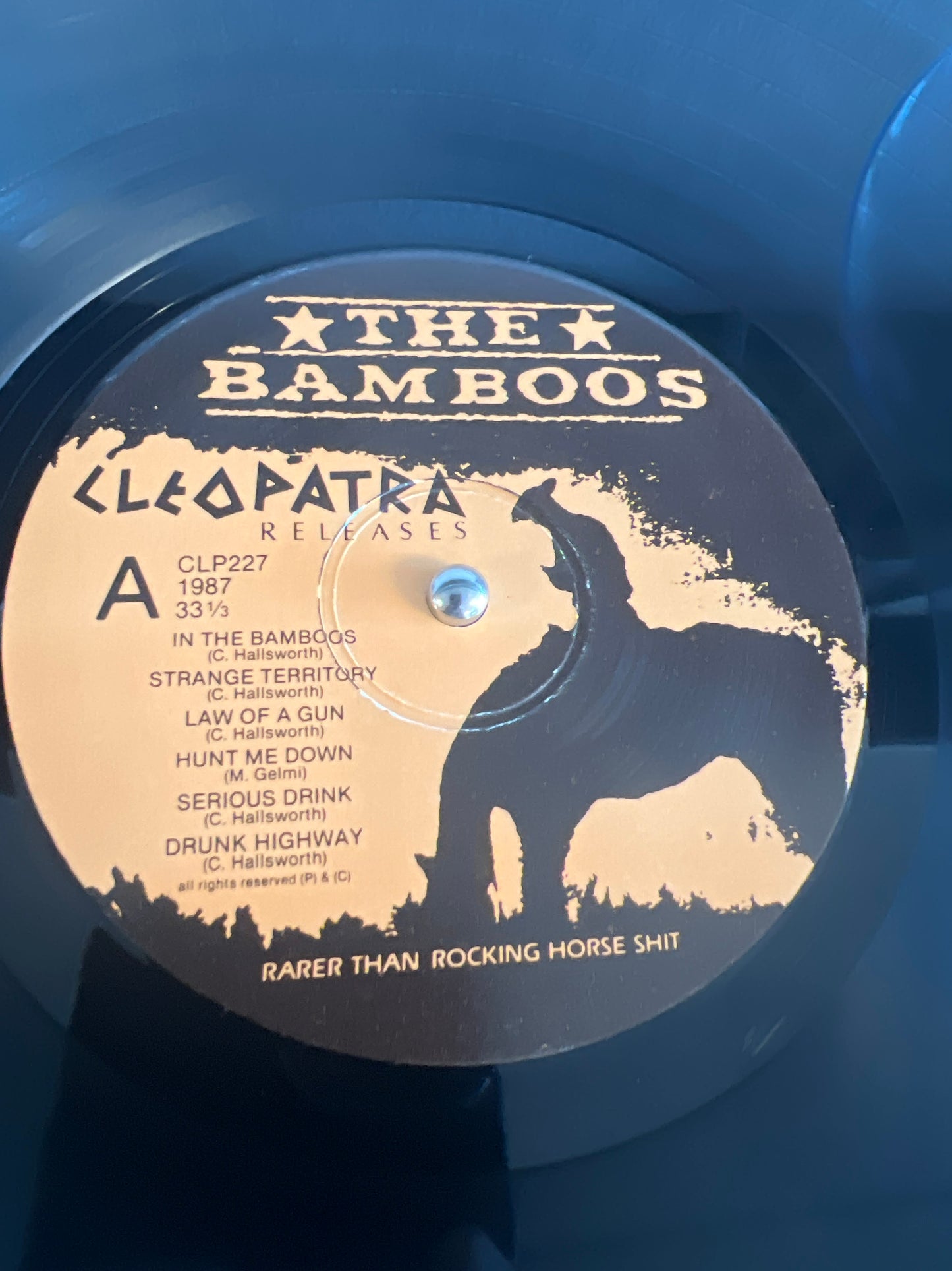 THE BAMBOOS - rarer than rocking horse shit