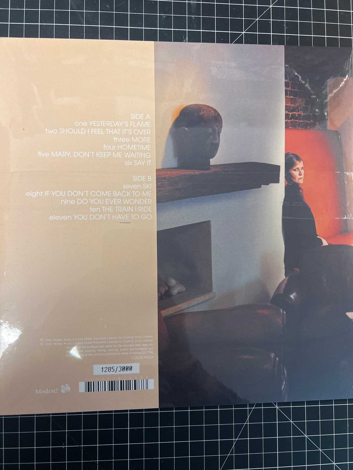 ALISON MOYET - hometime