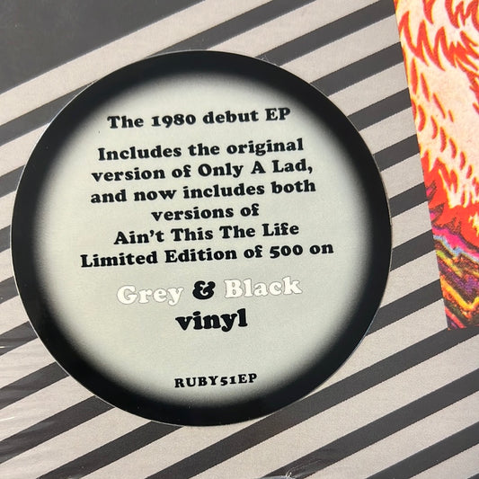 OINGO BOINGO - Oingo Boingo