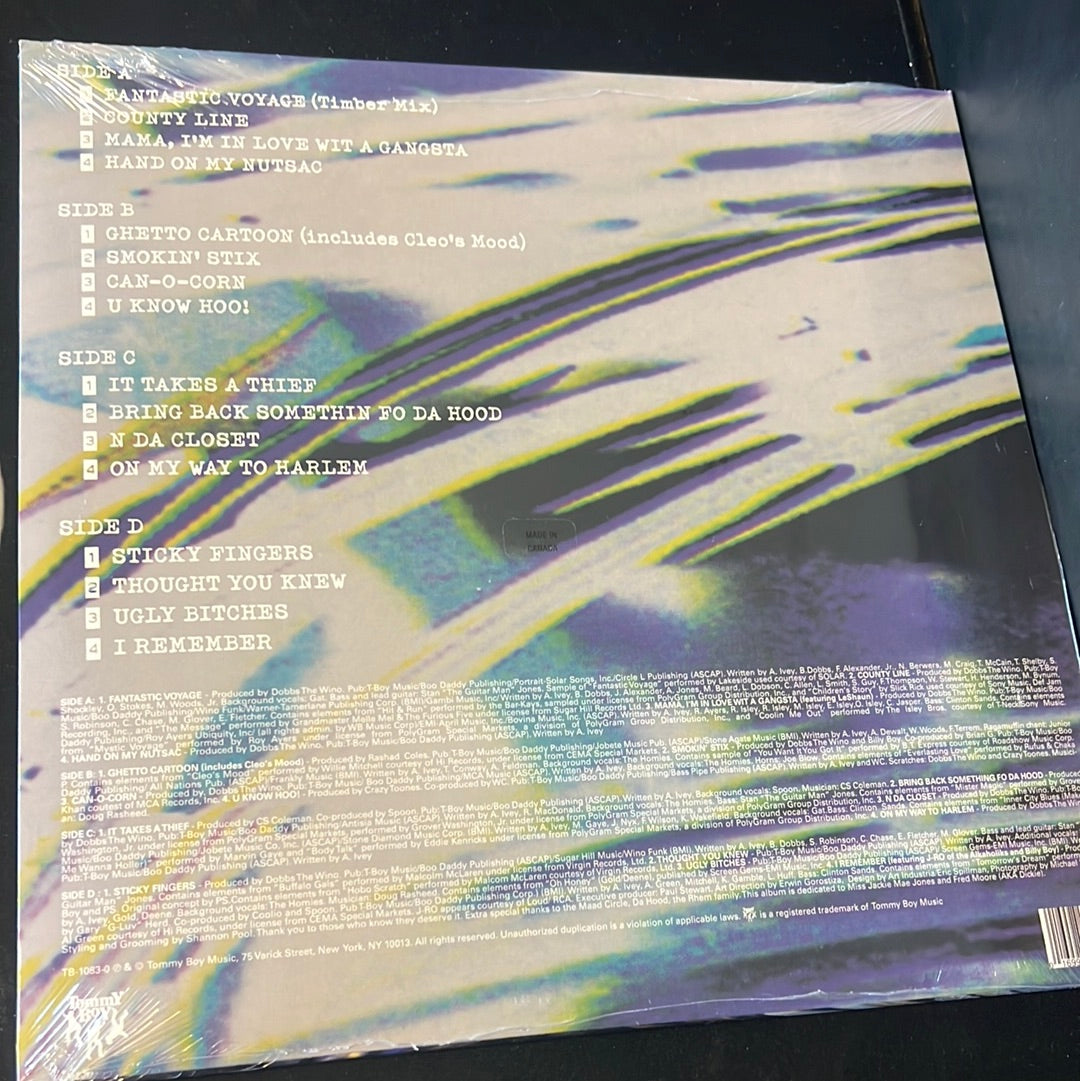 COOLIO - it takes a thief