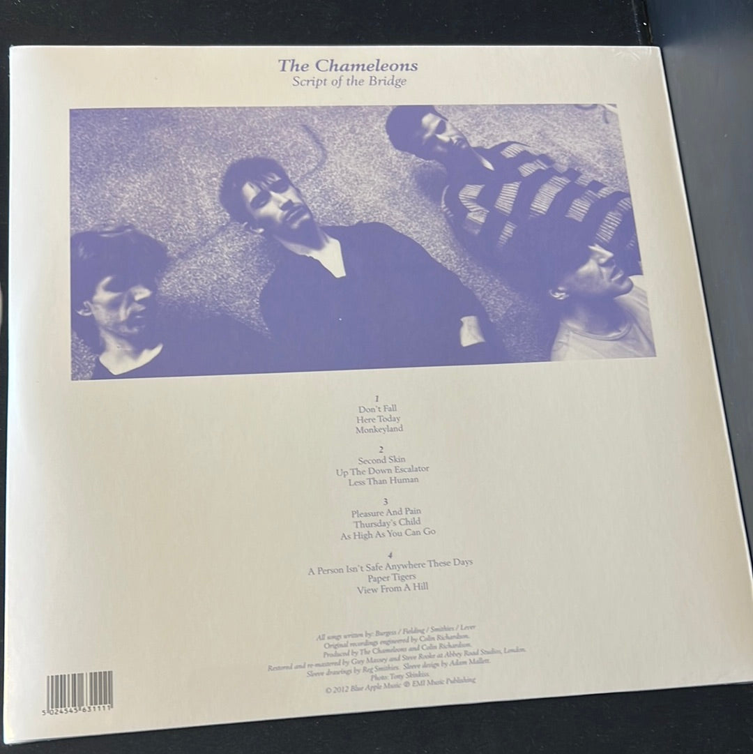 THE CHAMELEONS - script of the bridge