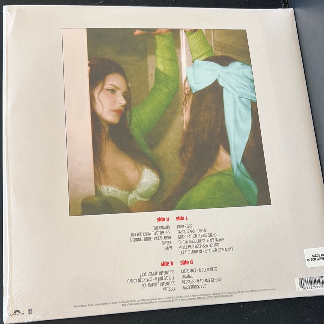 LANA DEL REY - did you know that the there’s a tunnel under ocean Blvd