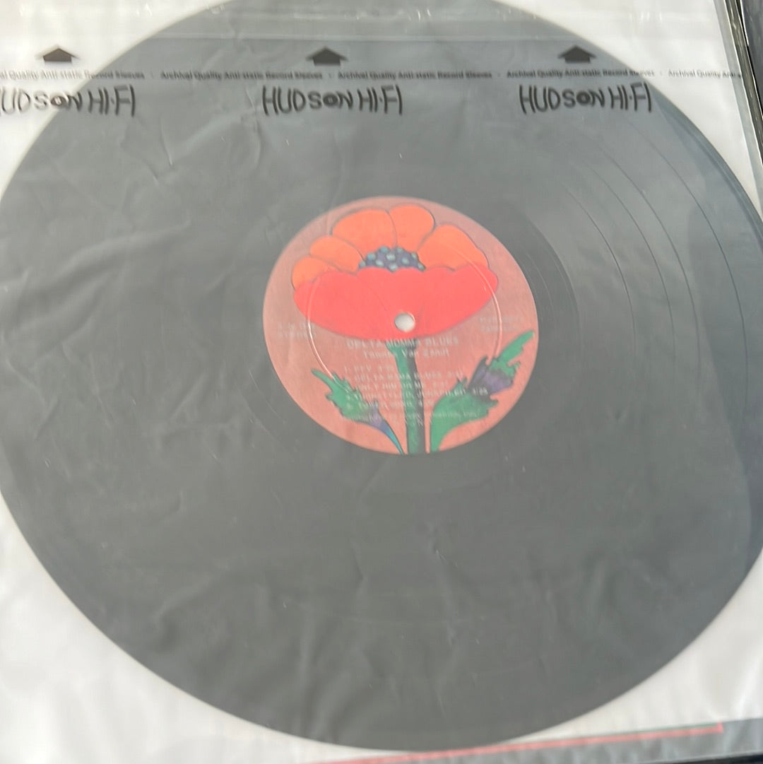 TOWNES VAN ZANDT - delta momma blues